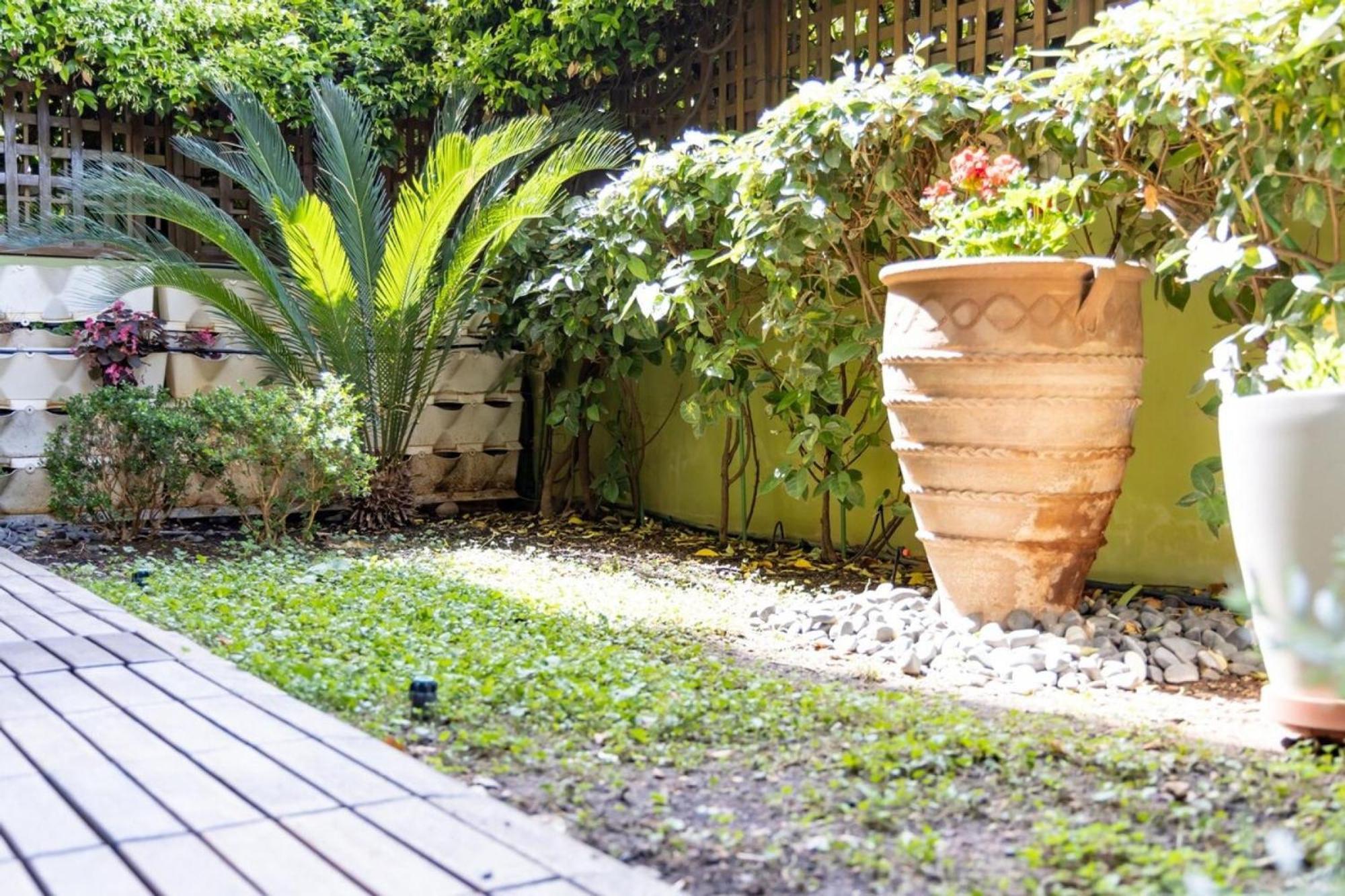 Appartement The Garden House At Alimos à Athènes Extérieur photo